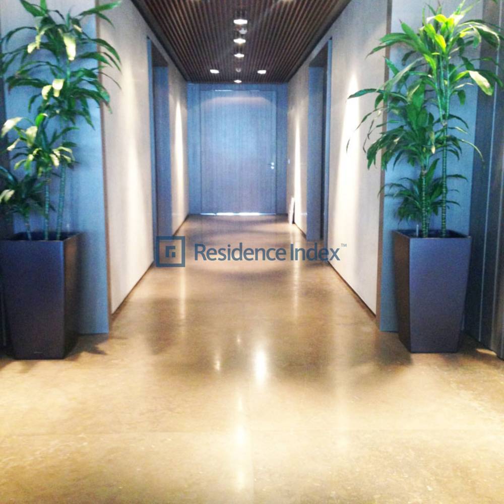 Full Floor 640 M2 Single Type Office & Residential